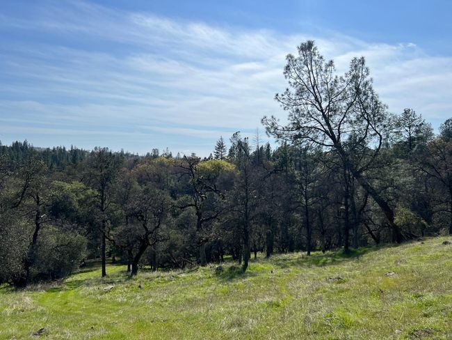 18907 Shake Ridge Rd, Home with 0 bedrooms, 0 bathrooms and null parking in Sutter Creek CA | Image 8