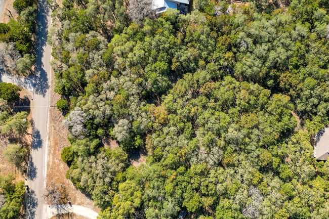 Great shot showing tree cover on the lot. | Image 15