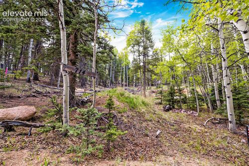 714 Will Stutley Dr, Divide, CO, 80814-9207 | Card Image