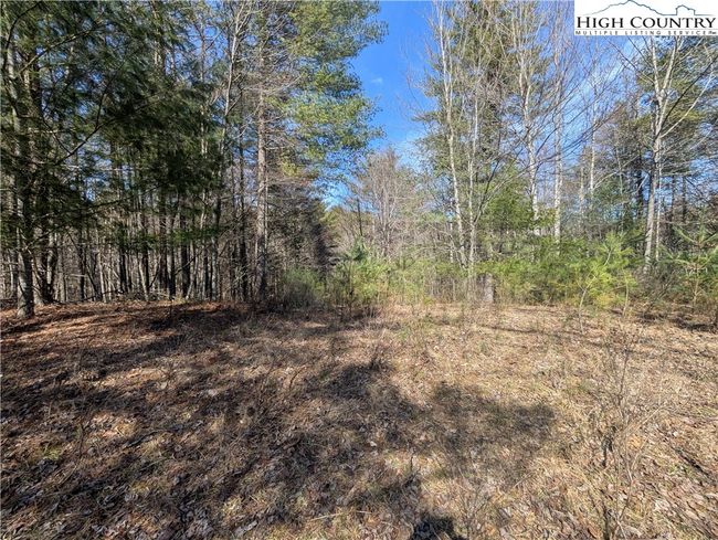 Cleared building area with potential views | Image 7