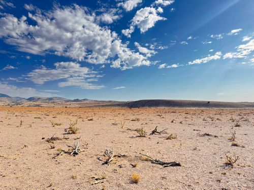 Lot 122 Golden Ridge, San Antonio, NM, 87832 | Card Image