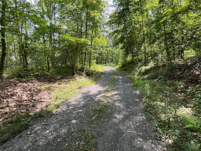 0 Cascade Mountain Rd, Home with 0 bedrooms, 0 bathrooms and null parking in Amenia NY | Image 15