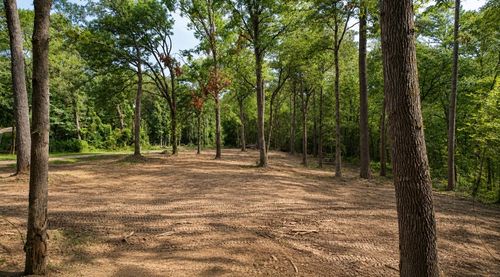 163 Ermine Ct, Mount Vernon, TX, 75457-7506 | Card Image