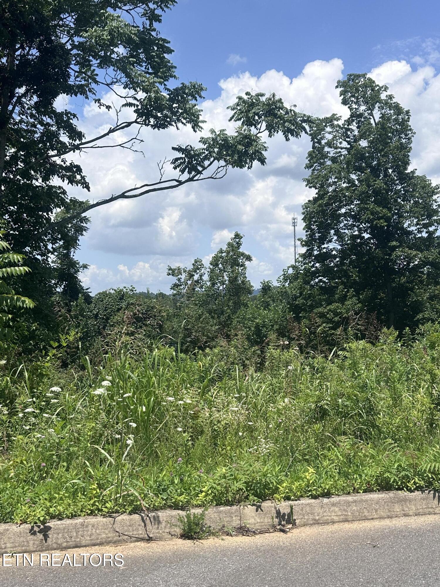 Land in Dandridge 4