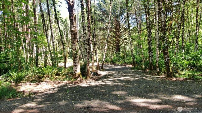 0 NKA N River Rd, Home with 0 bedrooms, 0 bathrooms and null parking in Cosmopolis WA | Image 9