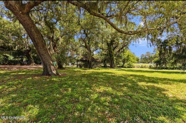 Backyard area | Image 30