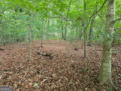LOT 270 Arrow Ln, Lavonia, GA, 30553-3268 | Card Image