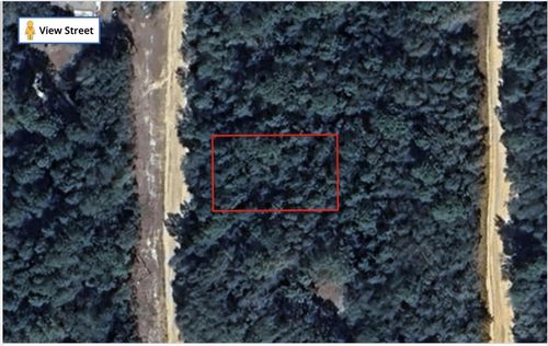 Tbd Louise Ave, Interlachen, FL, 32148 | Card Image