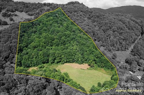 TBD Sugar Camp Road, Marshall, NC, 28753 | Card Image