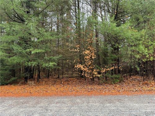 Lot #3 Black Bear Bend, Boonville, NY, 13301 | Card Image