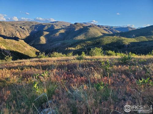 232 Red Mountain Ct, Livermore, CO, 80536 | Card Image