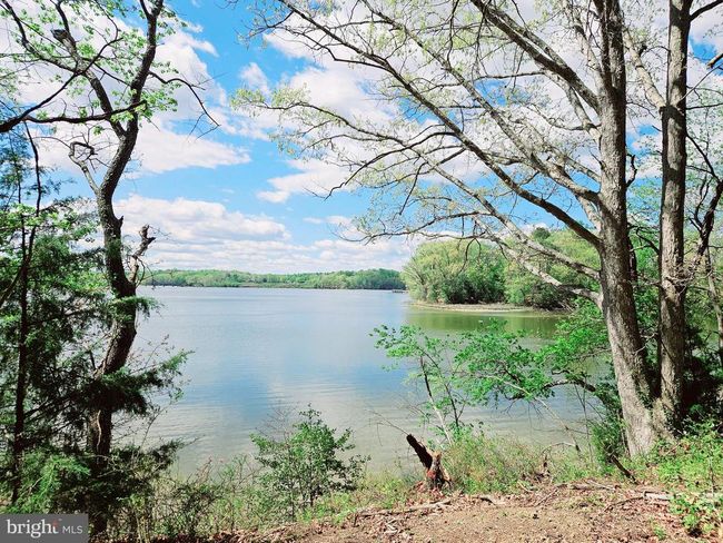 Lot 1 Zacata Rd, Home with 0 bedrooms, 0 bathrooms and null parking in Montross VA | Image 8