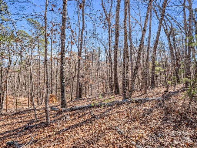 21-24-AND-25 - 000 Forester Ln, Home with 0 bedrooms, 0 bathrooms and null parking in Mill Spring NC | Image 22