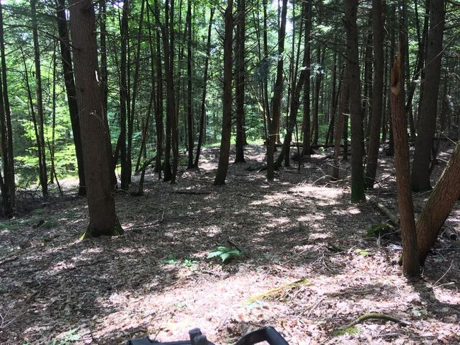 1 - 0 Old Ledge Road, Home with 0 bedrooms, 0 bathrooms and null parking in Westminster VT | Image 14
