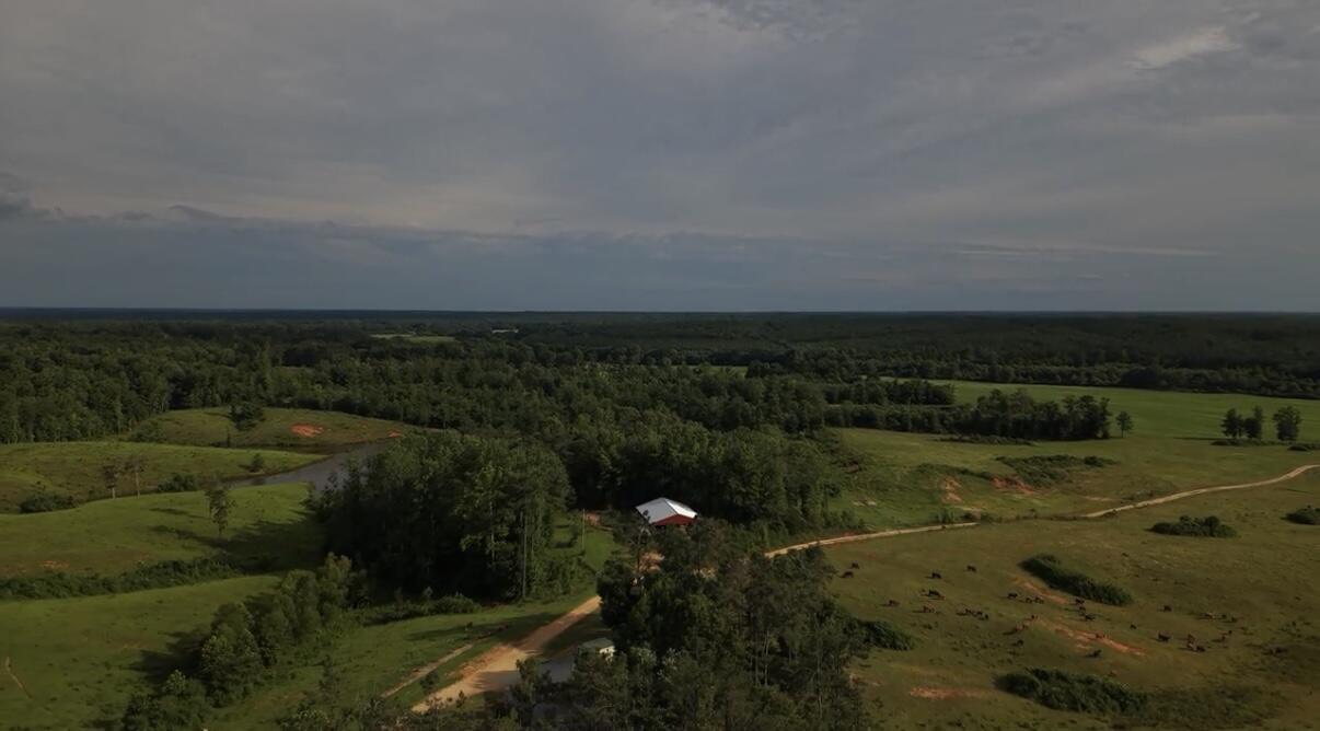 Land in Booneville 5