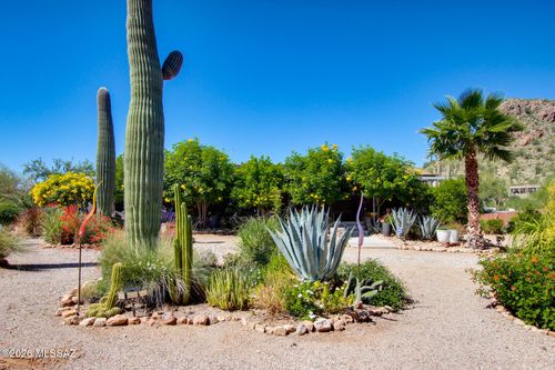 6605 N Dimitri Ln, Tucson, AZ, 85743-9623 | Card Image