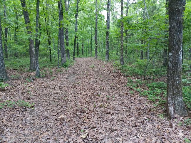 409 Russell Mountain Rd, Home with 0 bedrooms, 0 bathrooms and null parking in Bald Knob AR | Image 8