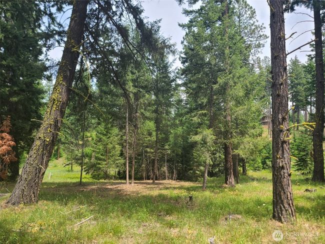 53 Wanawish Loop, Home with 0 bedrooms, 0 bathrooms and null parking in Cle Elum WA | Image 5