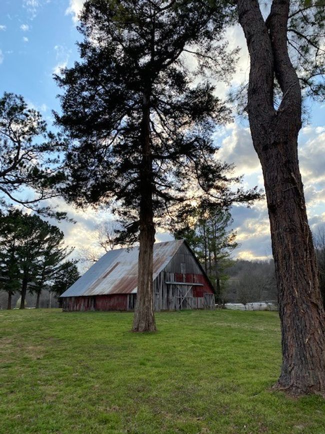 14889 Highway 311 Highway, For Sale in Green Forest Zoocasa