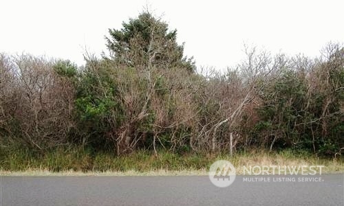 Land in Ocean Shores