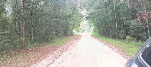 000 Sw 15th Pl, Ocala, FL, 34471 | Card Image