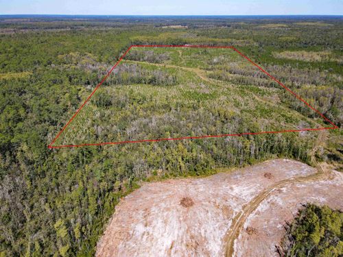 000 Sw Mount Gilead Rd, GREENVILLE, FL, 32331 | Card Image