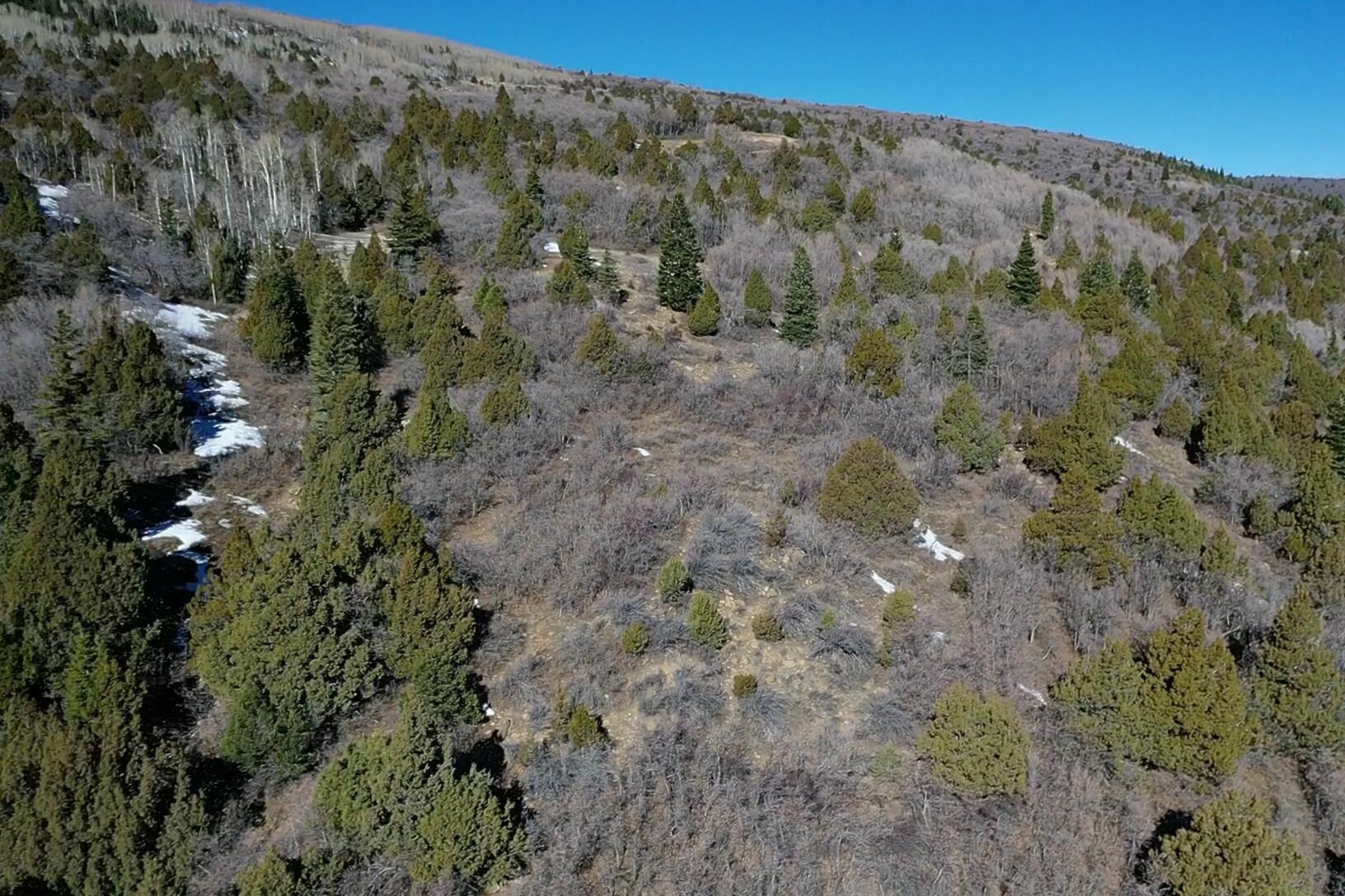 Land in Summit 4