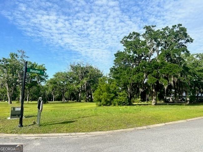 LOT 48 Maiden Creek Dr, Home with 0 bedrooms, 0 bathrooms and null parking in Waverly GA | Image 5