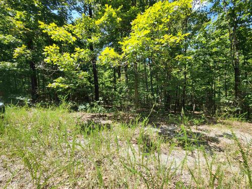 L-13, B-6 Calumet Drive, Cherokee Village, AR, 72529 | Card Image