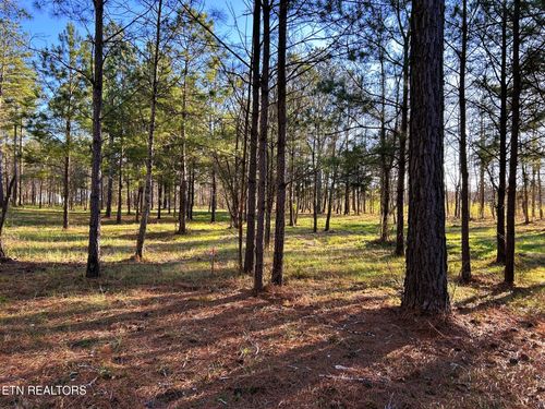 Lot 4 Hiwassee Rd, Calhoun, TN, 37309 | Card Image