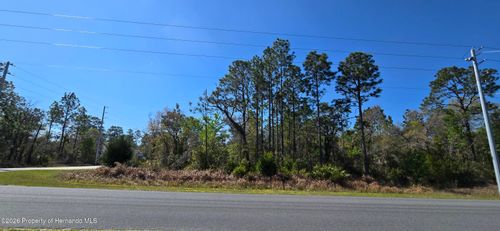 0 Ruffed Grouse Rd, BROOKSVILLE, FL, 34614 | Card Image