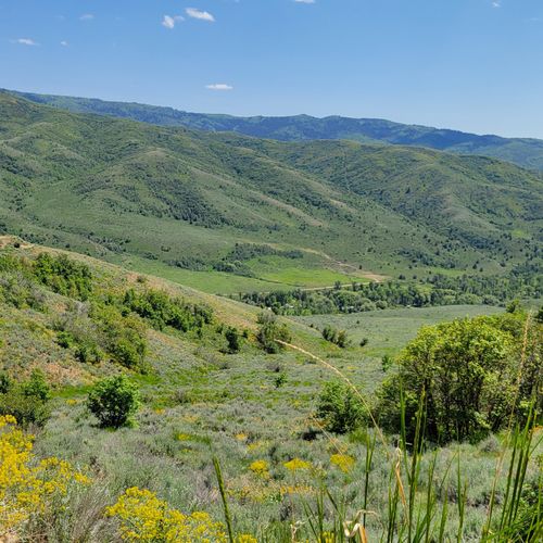 54-12737 E High Pine Cir N, Huntsville, UT, 84317 | Card Image