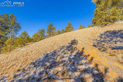 772 E Bison Creek Trail, Florissant, CO, 80816 | Card Image