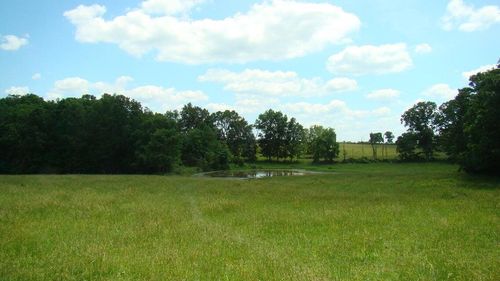 00 Track 4 State Route W, Mountain View, MO, 65548 | Card Image