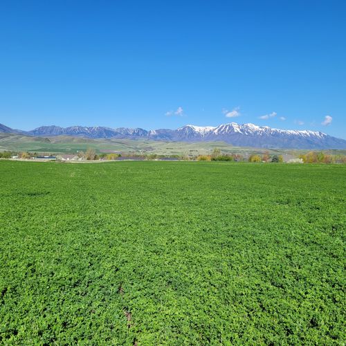 377 E 8900 S, Paradise, UT, 84328 | Card Image