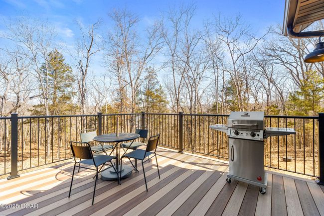 485 Cedarledge Rd, House other with 6 bedrooms, 3 bathrooms and null parking in Lampe MO | Image 46