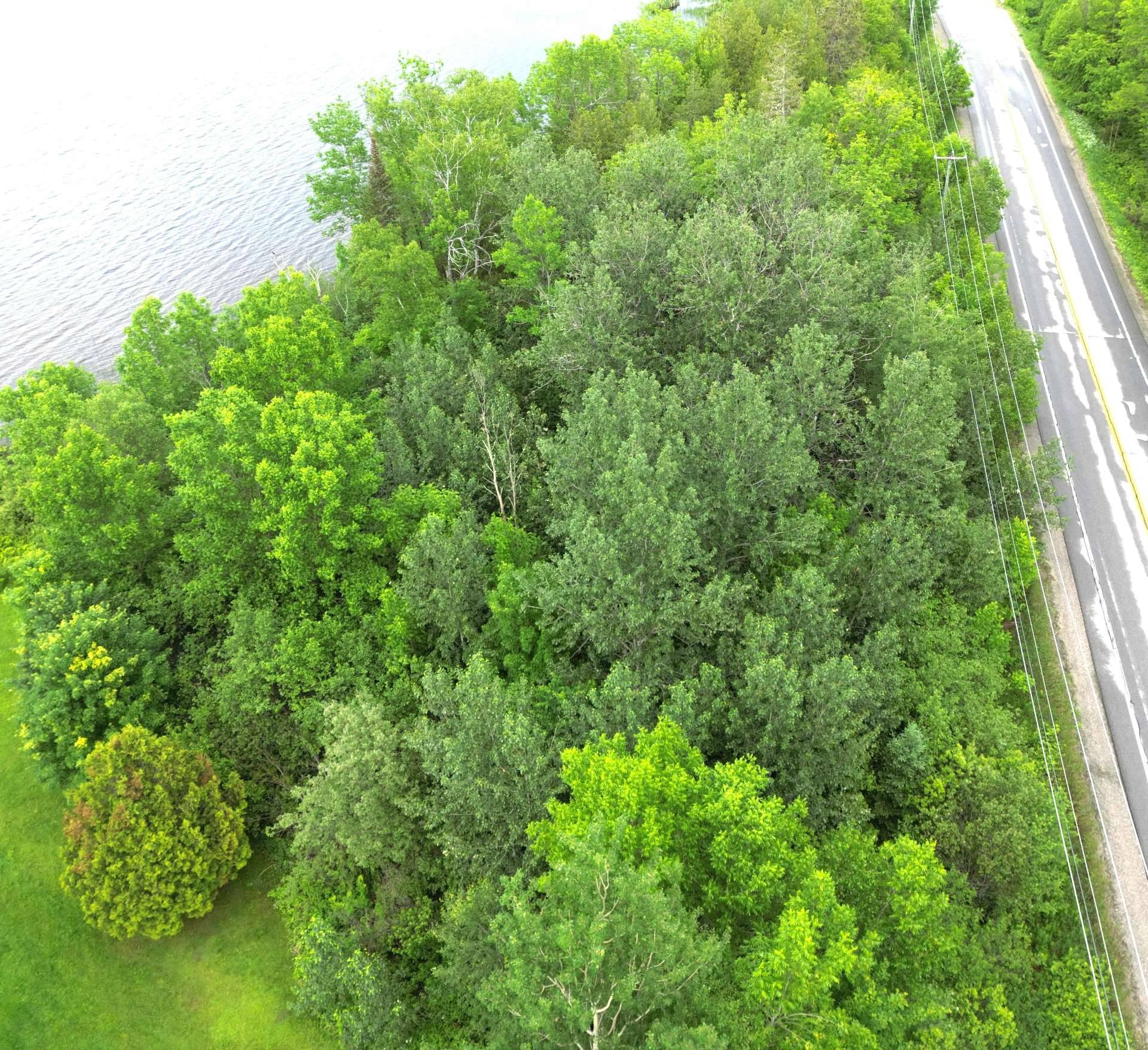 Land in Lac-Saint-Paul 3