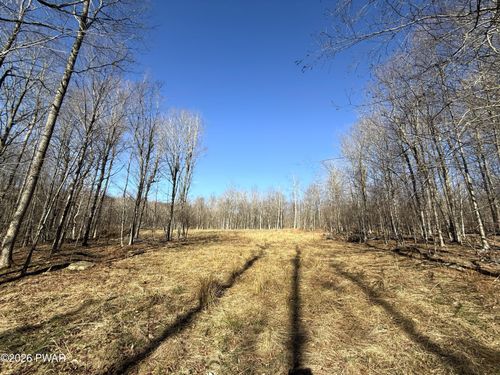 Lot 23 Bridle Way, Equinunk, PA, 18417-3091 | Card Image