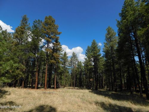 UNK 1.17 Ac Unk, Greer, AZ, 85927 | Card Image