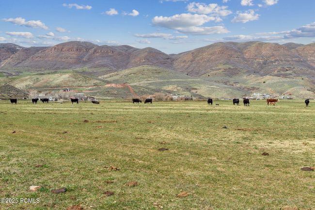 1450 N West Henefer Rd, Home with 0 bedrooms, 0 bathrooms and null parking in Henefer UT | Image 29