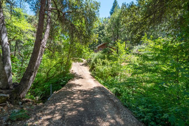 0000 E Fork Rd, Home with 0 bedrooms, 0 bathrooms and null parking in French Gulch CA | Image 18