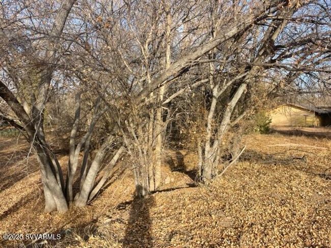 3695 E Sycamore Ln, Home with 0 bedrooms, 0 bathrooms and null parking in Rimrock AZ | Image 12