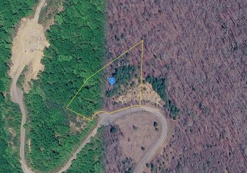 316 Caney View Dr, Harriman, TN, 37748 | Card Image
