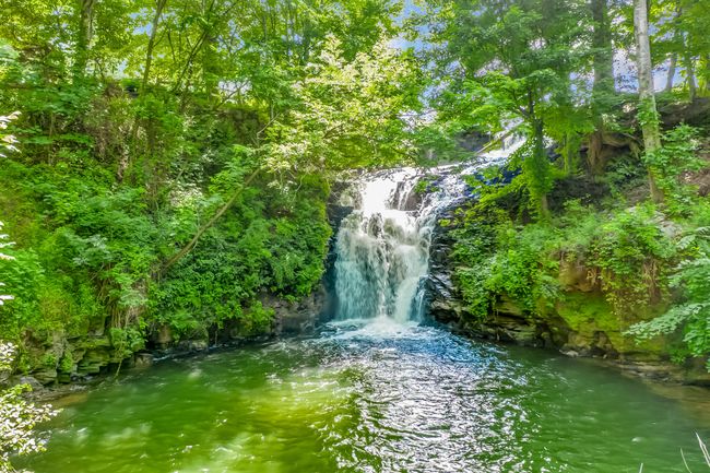 507 Big Stump Mountain Trl, House other with 3 bedrooms, 3 bathrooms and null parking in Jasper GA | Image 78