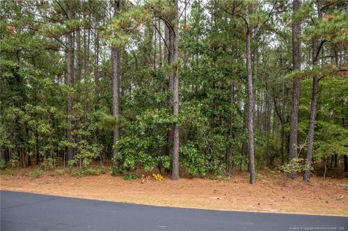 0 Deercroft Dr, Wagram, NC, 28396 | Card Image