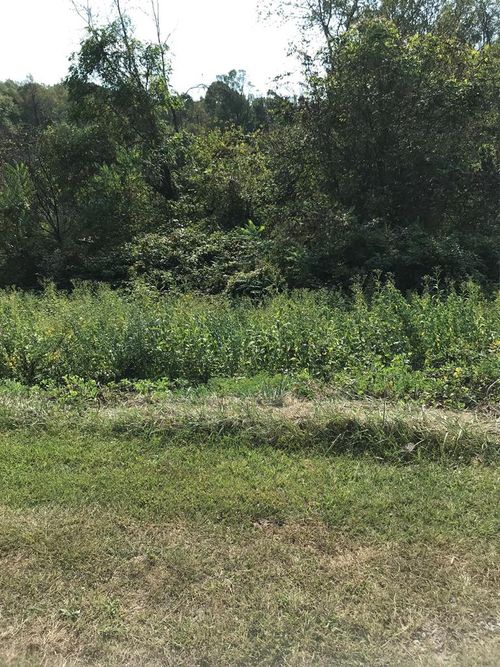 TBD Lot#42 Brooke Street, Chilhowie, VA, 24319 | Card Image