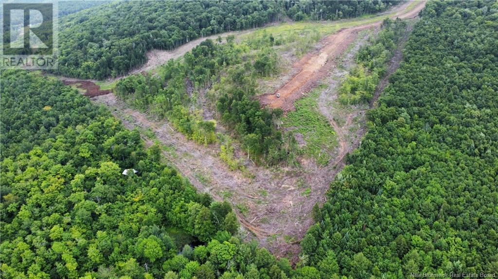 Land in Central Hainesville 4
