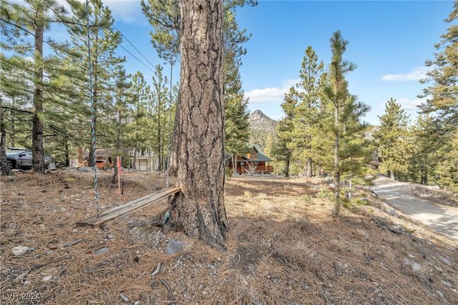 2194 Via Spes Nostra St, Home with 0 bedrooms, 0 bathrooms and null parking in Mount Charleston NV | Image 16