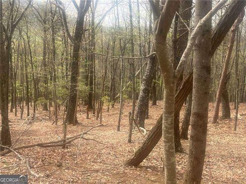 0 Bee Tree Ridge Ct, Jasper, GA, 30143 | Card Image