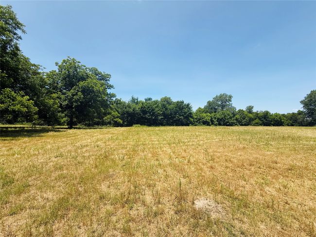 View of yard with a view of rural / pastoral area and a view of trees | Image 11